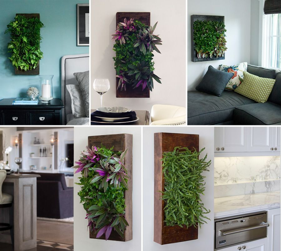 Indoor Living Wall Herb Garden
 Living walls for inside the home and in the backyard patio