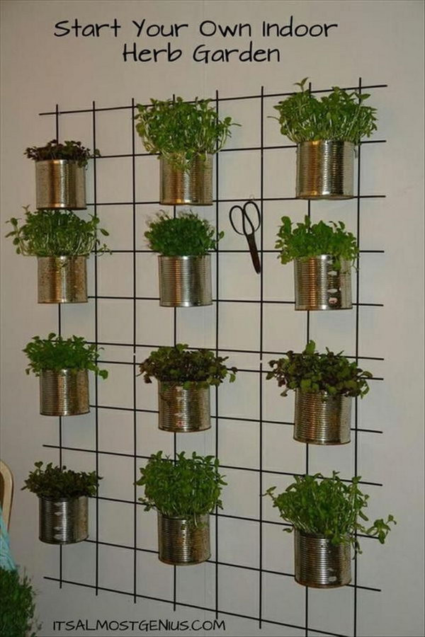 Indoor Living Wall Herb Garden
 20 Cool Vertical Gardening Ideas 2017