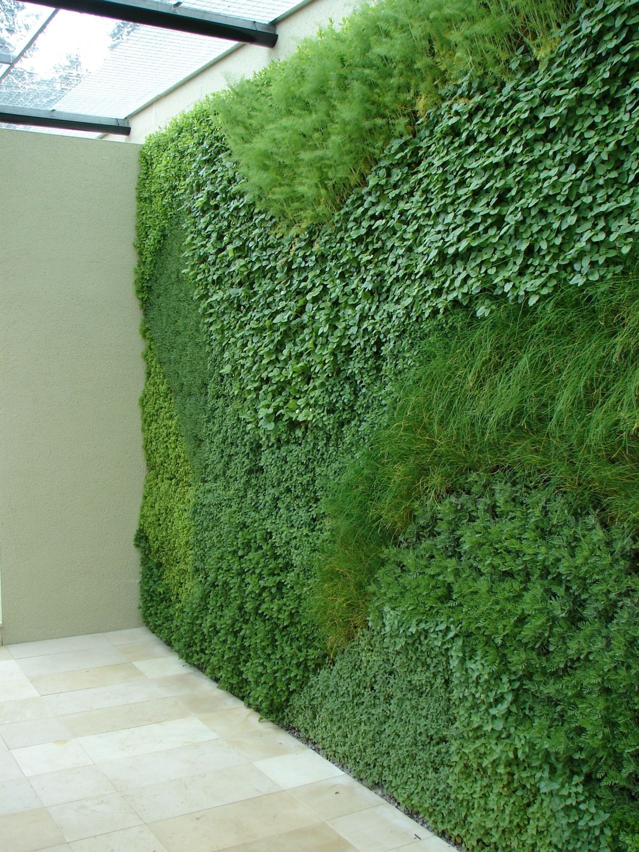 Indoor Living Wall Herb Garden
 a green wall planted with easy to grow herbs