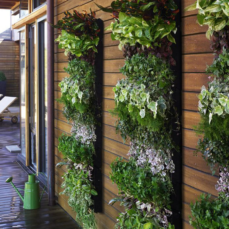 Indoor Living Wall Herb Garden
 Do you have an indoor living wall