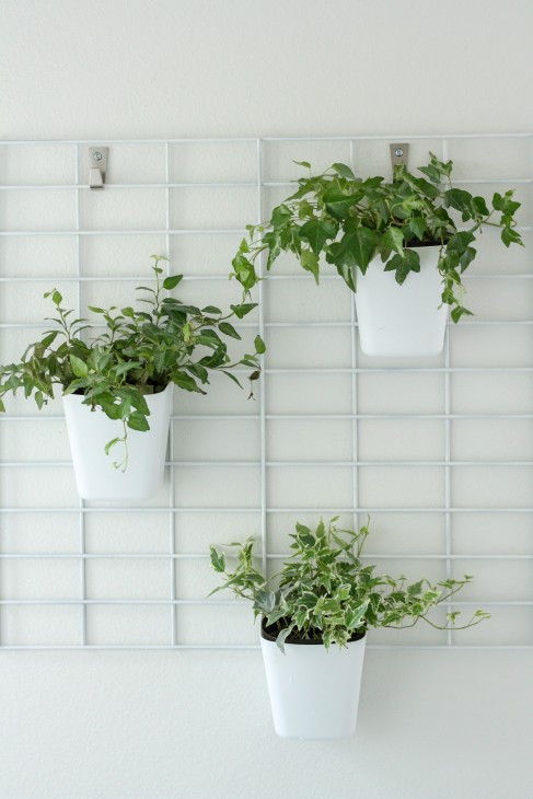 Indoor Living Wall Herb Garden
 23 Cool DIY Wall Planter Ideas For Vertical Gardens – The