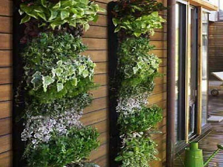 Indoor Living Wall Herb Garden
 78 best Indoor Green Design Ideas images on Pinterest