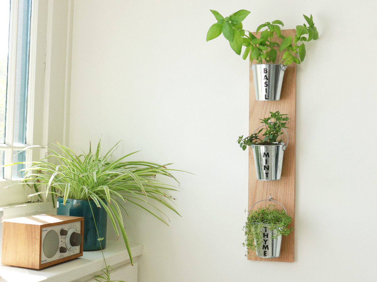 Indoor Living Wall Herb Garden
 How to Make a DIY Wall Garden for Under $20