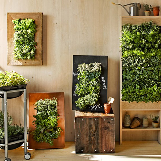 Indoor Living Wall Herb Garden
 8 Easy Ways to Create a Vertical Garden Wall Inside Your Home