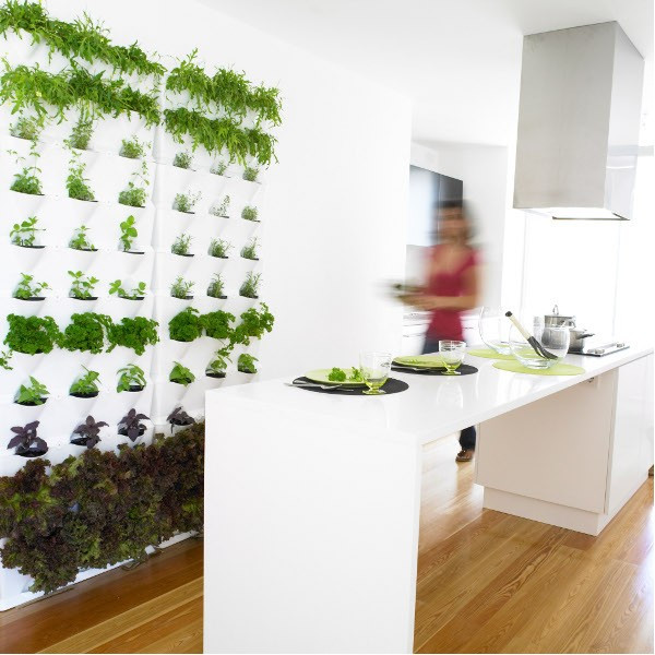 Indoor Living Wall Herb Garden
 Indoor Herb Gardens and Salad Walls INSPIRATION