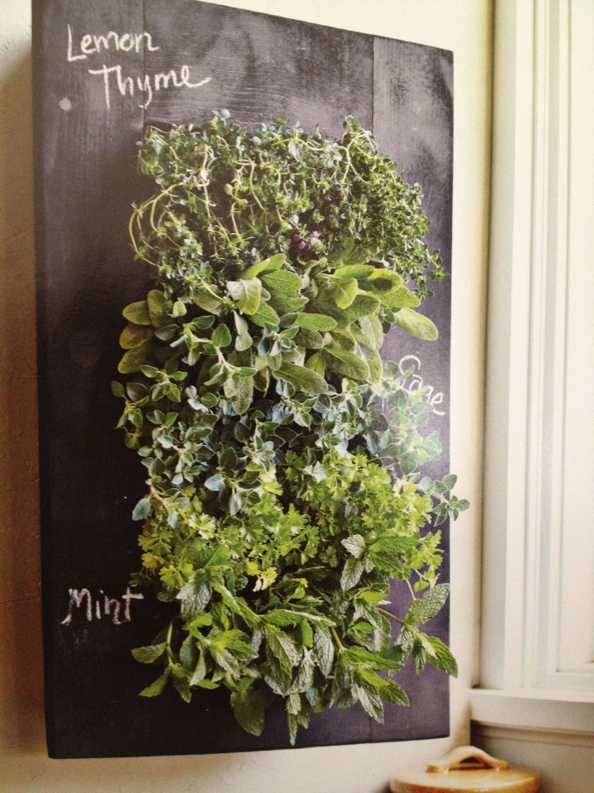 Indoor Living Wall Herb Garden
 Vertical herb garden with chalkboard paint