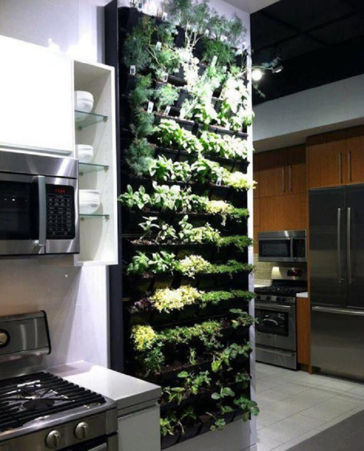 20 Stunning Indoor Living Wall Herb Garden Home Family Style And   Indoor Living Wall Herb Garden New Top 10 Cool Vertical Gardening Ideas Top Inspired Of Indoor Living Wall Herb Garden 