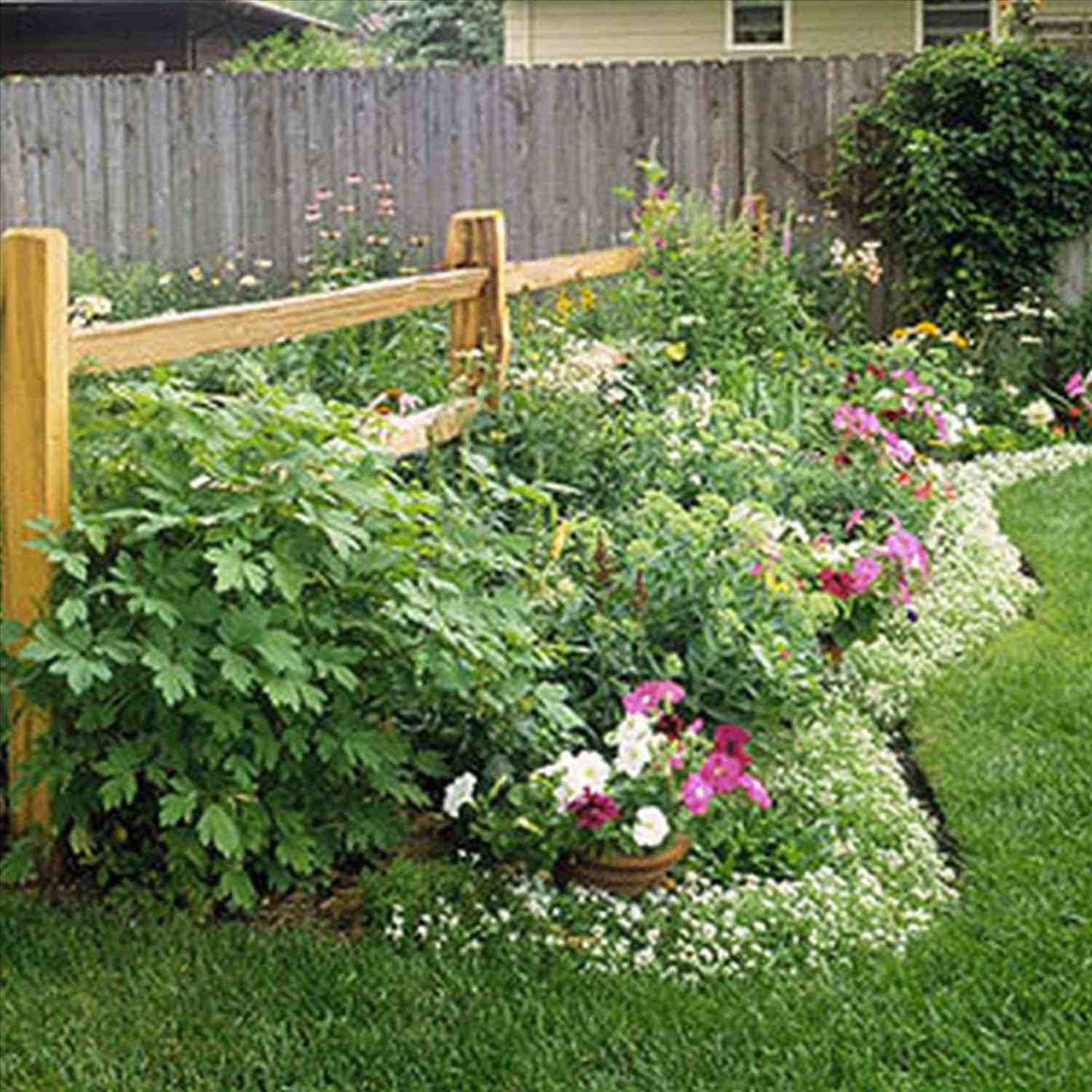 Inexpensive Backyard Landscape Ideas
 Patio Backyard Cheap Border Concrete Landscaping Elegant