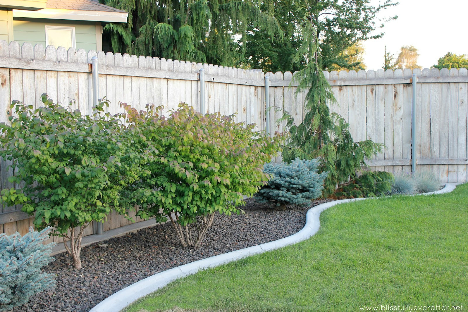 Inexpensive Backyard Landscape Ideas
 Inexpensive Backyard Garden Ideas graph