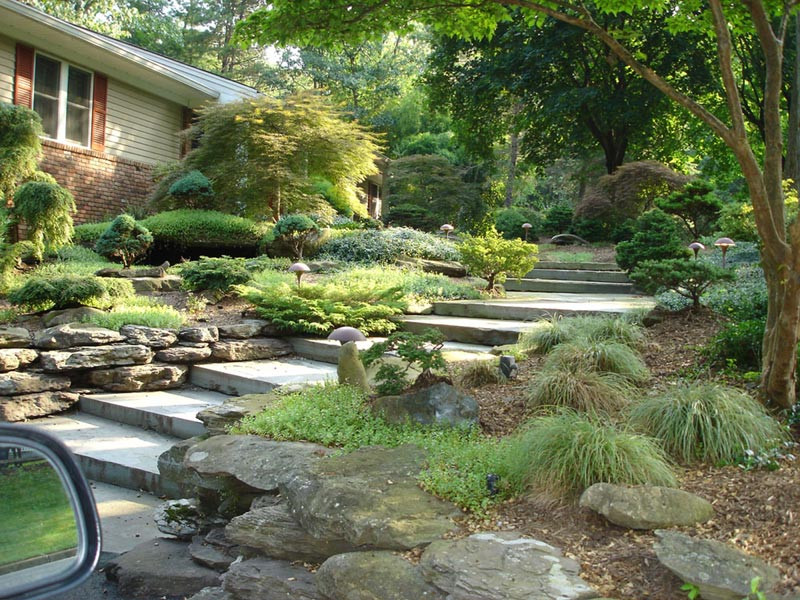 Inexpensive Backyard Landscape Ideas
 Landscape Design