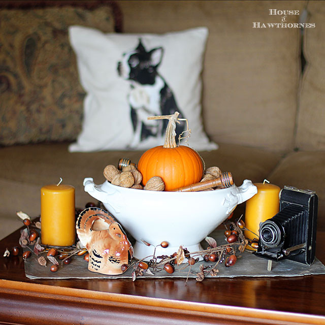 Inexpensive Thanksgiving Table Decorations
 10 Easy & Inexpensive Thanksgiving Table Decorations