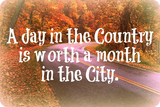 Inspirational Country Quotes
 Creative Country Saying A Day in the Country is Worth a