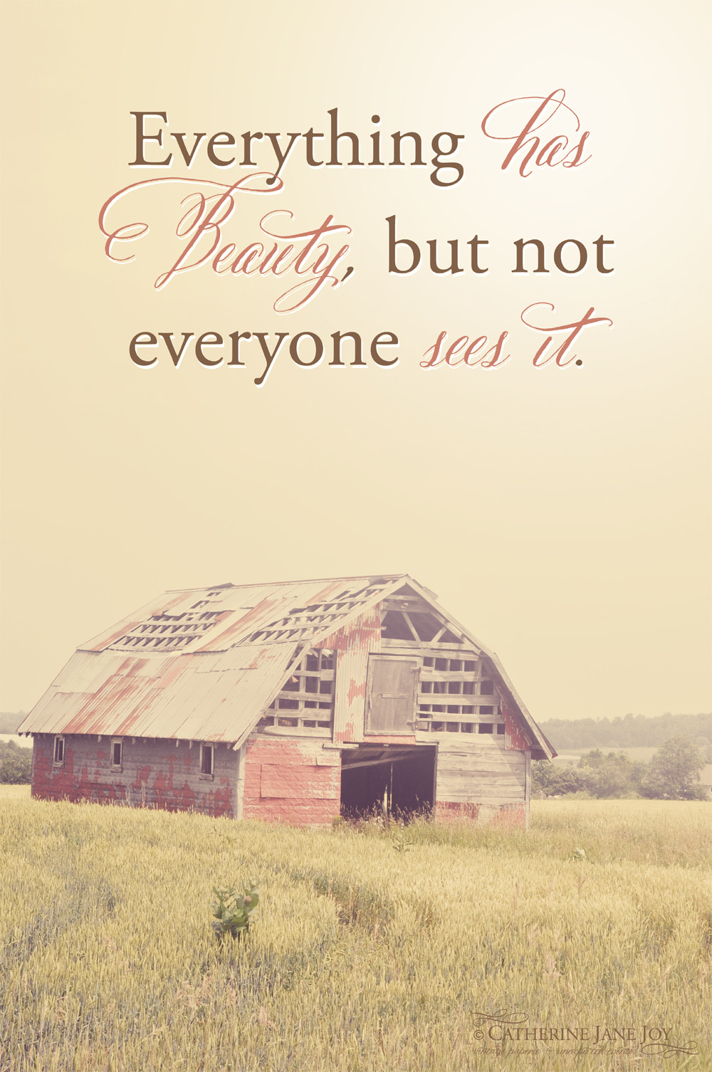 Inspirational Country Quotes
 Serendipity Soiree Everything has beauty