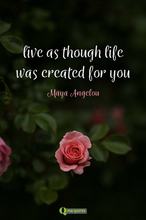 Inspirational Quote By Maya Angelou
 101 Maya Angelou Quotes That Will Make You Feel Warm Inside