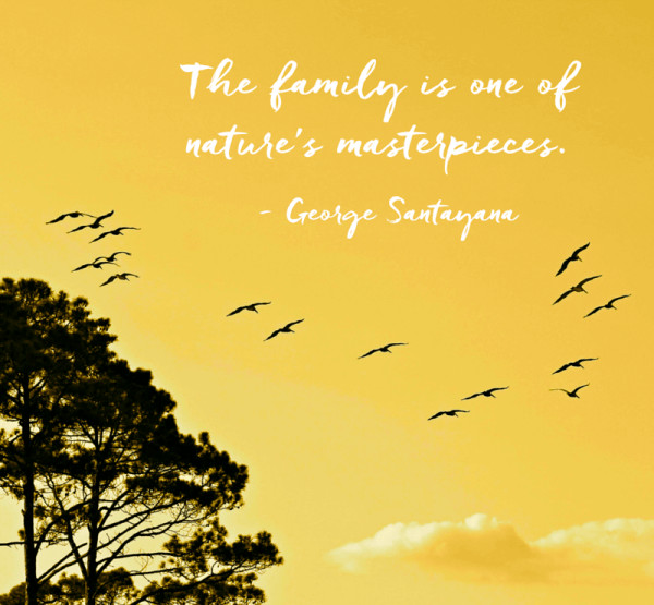 Inspirational Quotes About Family
 40 Inspirational Family Quotes and Family Sayings