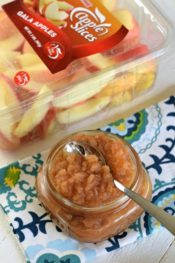 Instant Pot Applesauce Recipe
 The Best Quick and Easy Instant Pot Applesauce Recipe