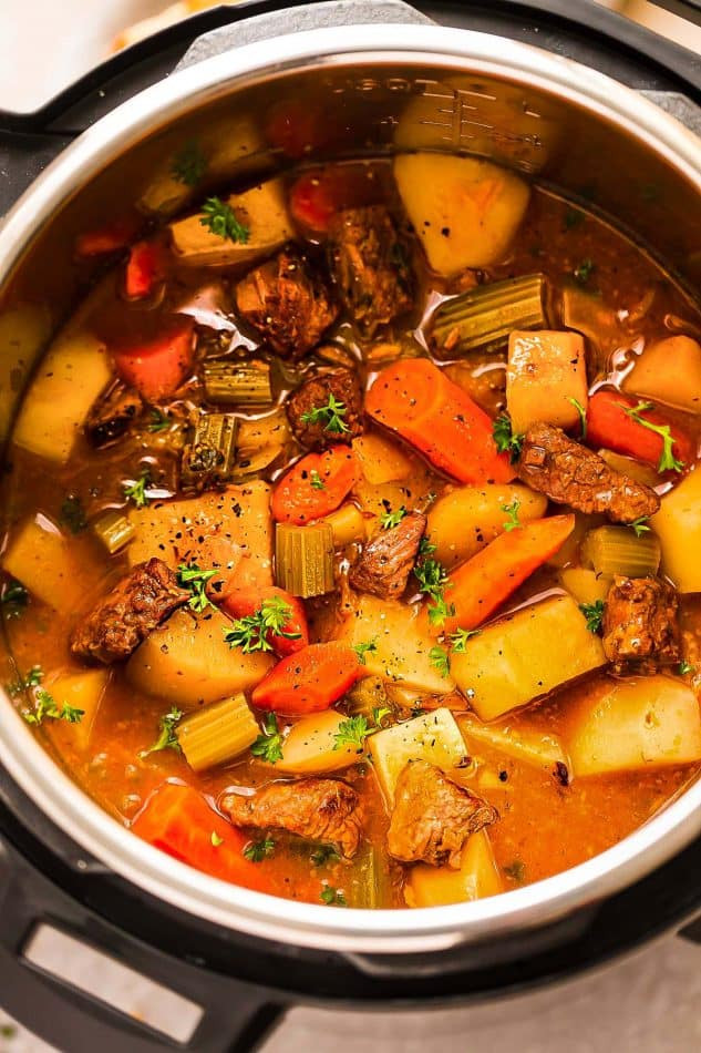Instant Pot Meat Recipes
 Instant Pot Beef Stew A Healthy and Hearty Slow Cooker