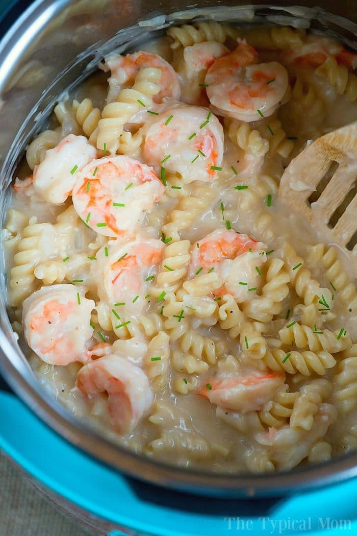 Instant Pot Shrimp Pasta
 Instant Pot Shrimp Alfredo · The Typical Mom