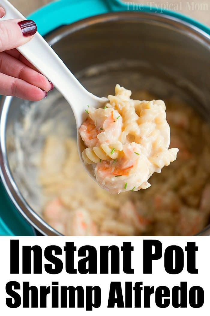 Instant Pot Shrimp Pasta
 Instant Pot Shrimp Alfredo · The Typical Mom