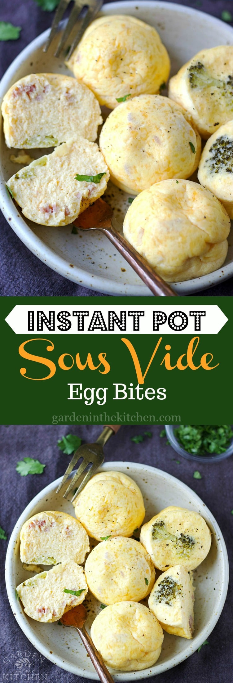 Instant Pot Sous Vide Recipes
 Instant Pot Sous Vide Egg Bites