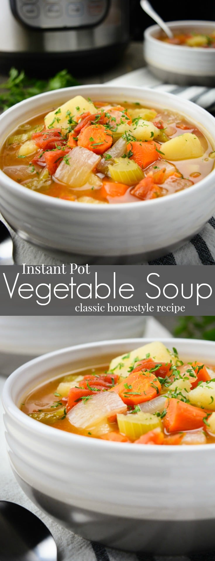 Instant Pot Vegetable Soup Recipes
 Instant Pot Ve able Soup Vegan