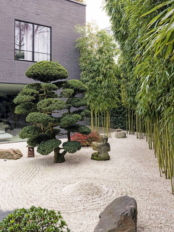 Japanese Style Backyard
 The budding trend for Japanese style gardens