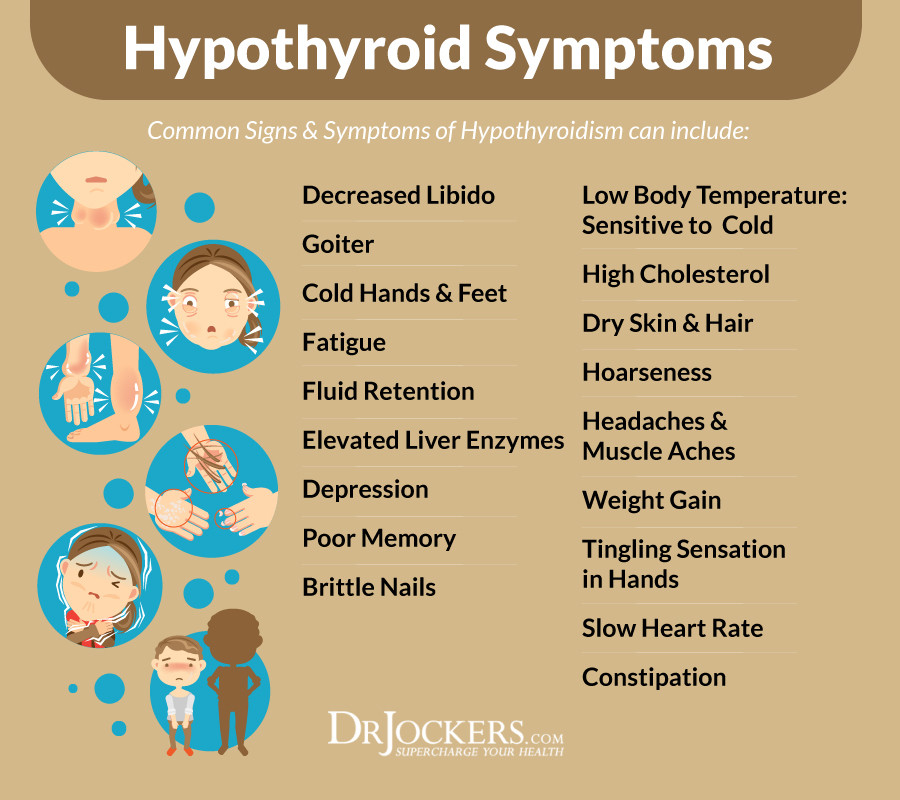 Keto Diet And Hypothyroidism
 Using A Ketogenic Diet For Hypothyroid DrJockers