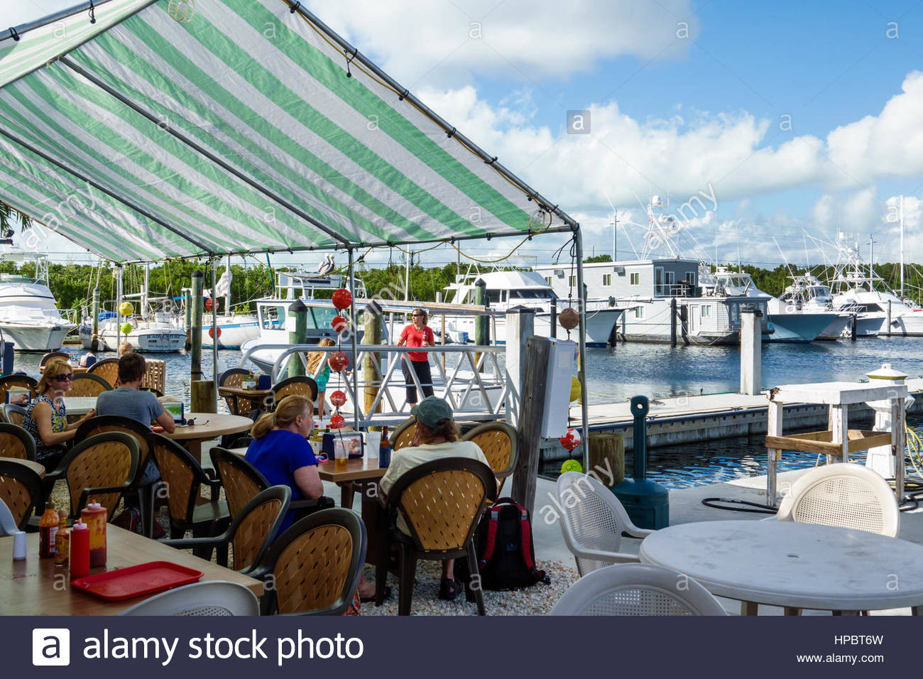 Key Largo Fisheries Backyard
 Key Largo Florida Upper Florida Keys Key Largo Fisheries