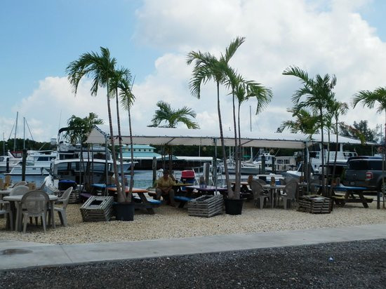 Key Largo Fisheries Backyard
 Menu Picture of Key Largo Fisheries Backyard Key Largo