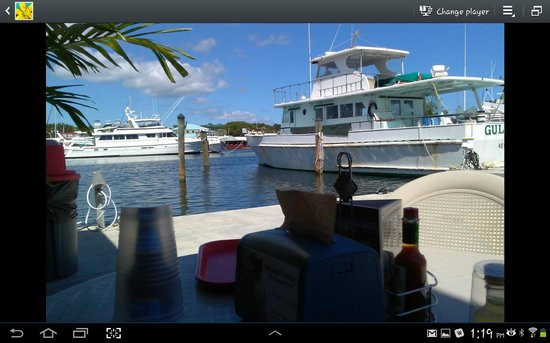 Key Largo Fisheries Backyard
 snapper fish sandwich Picture of Key Largo Fisheries