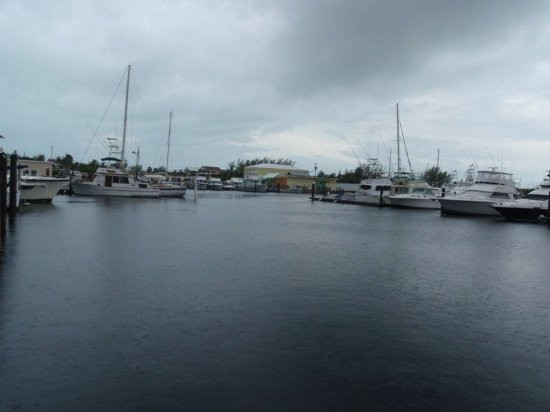 Key Largo Fisheries Backyard
 Harbor view from Key Largo Fisheries Picture of Key