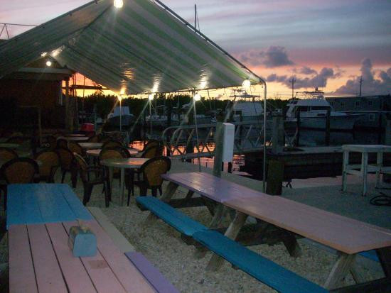 Key Largo Fisheries Backyard
 Outdoor Seating View Picture of Key Largo Fisheries