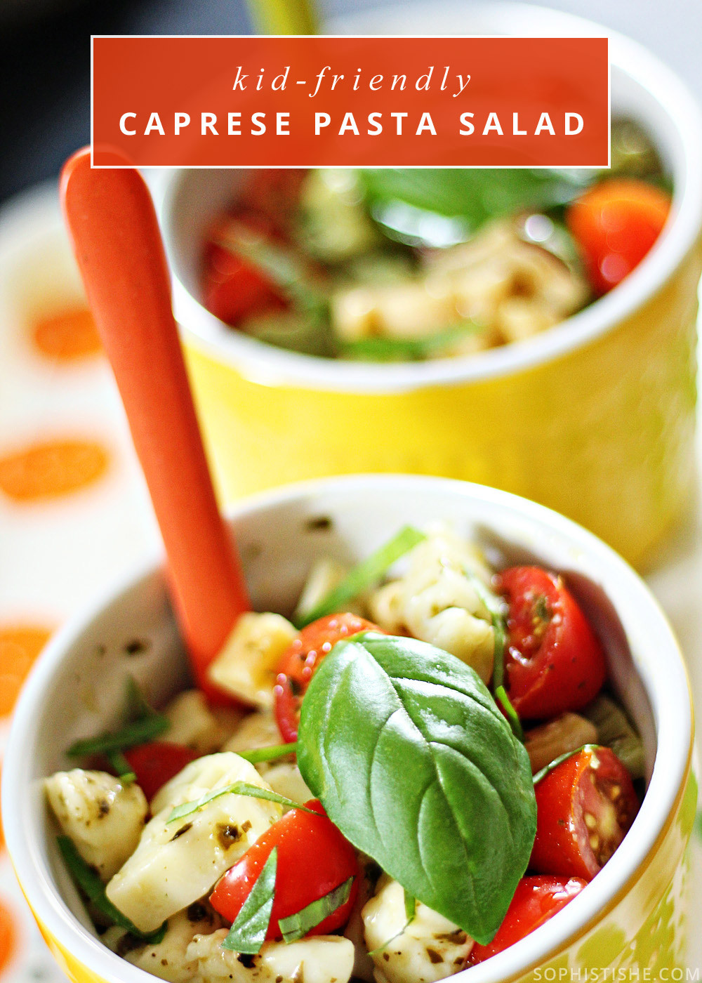 Kid Friendly Pasta Salad
 kid friendly pasta salad