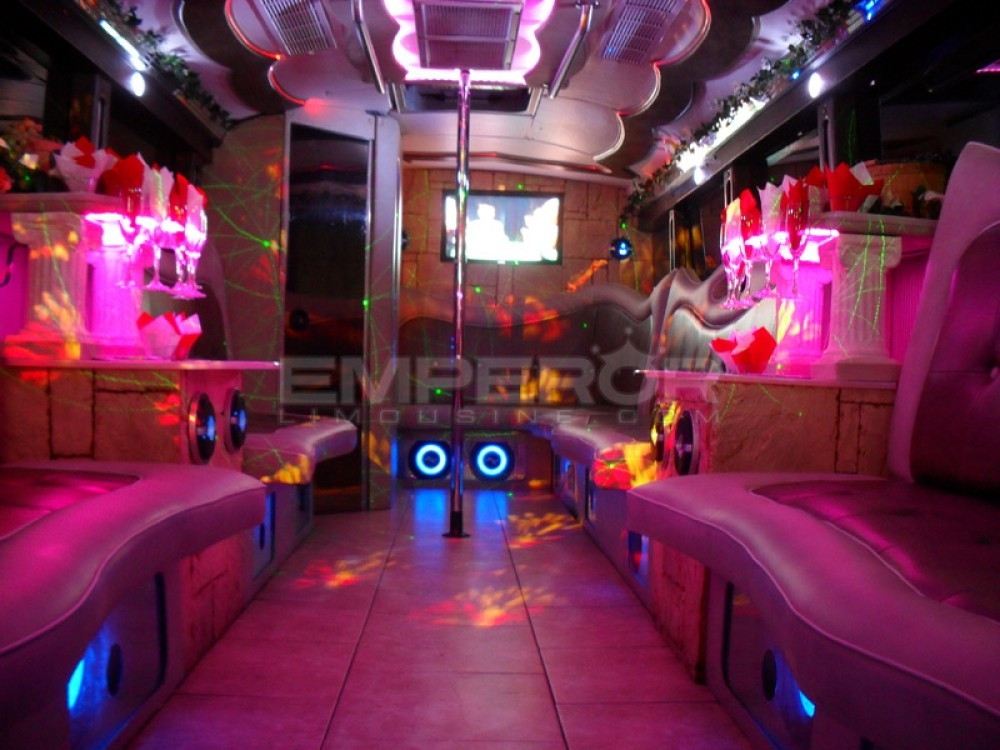 Kids Birthday Party Buses
 1 Cheapest Party Bus Chicago Instant Email Quotes