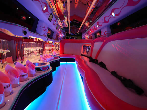 Kids Party Bus Atlanta
 Party Bus Animals Atlanta Celebrate the Ultimate Birthday