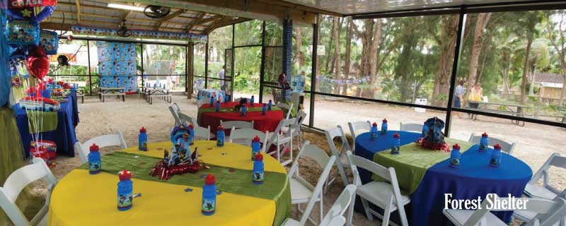 Kids Party Venues Miami
 Party Venues for Children in Miami FL – Pinto s Farm