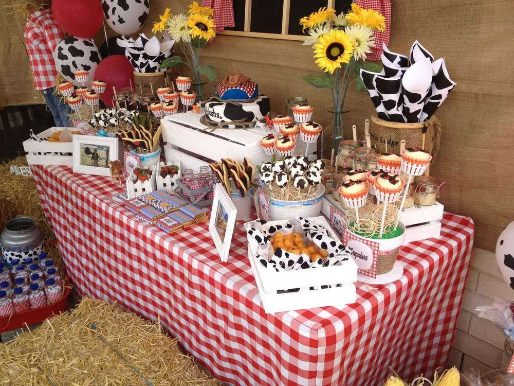 Kids Western Party
 western theme Birthday Party Ideas 6 of 7