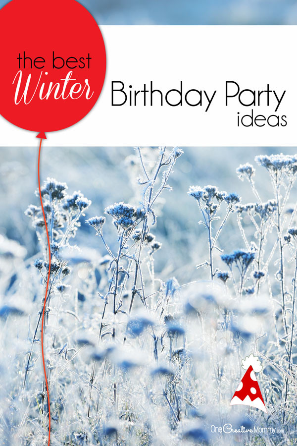 Kids Winter Birthday Party Ideas
 The Perfect Winter Birthday Party Ideas