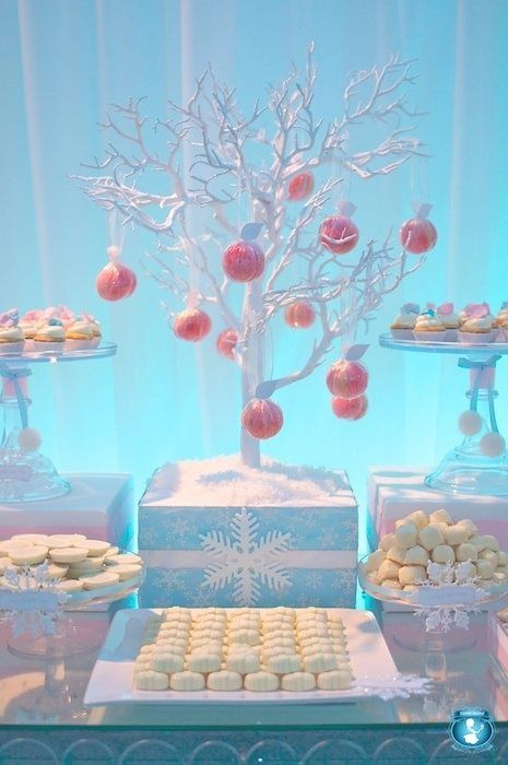 Kids Winter Birthday Party Ideas
 winter birthday party ideas for girls