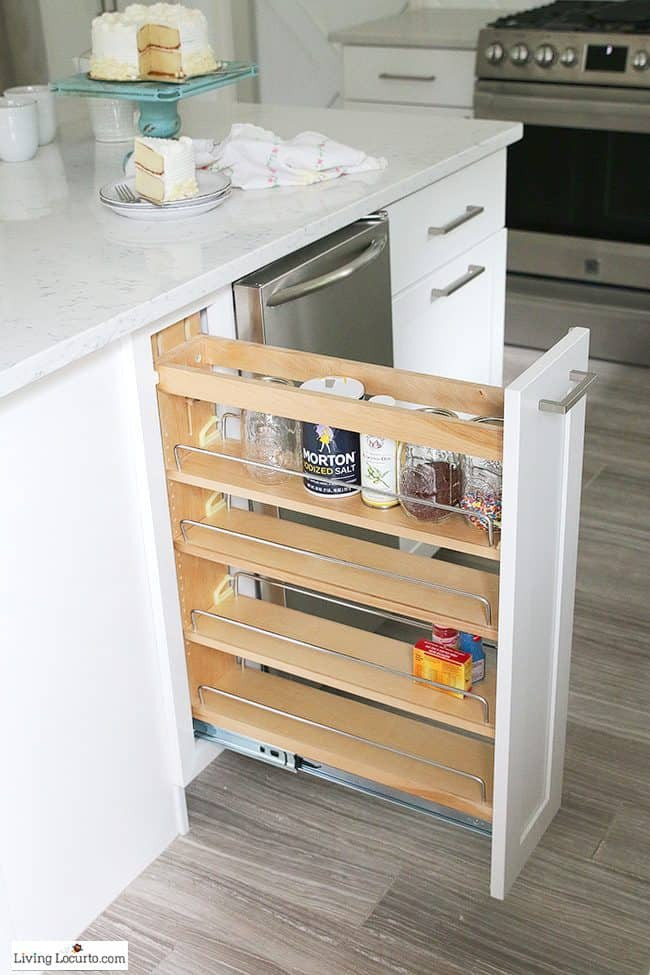 Kitchen Cabinet Organizing Products
 The Most Amazing Kitchen Cabinet Organization Ideas