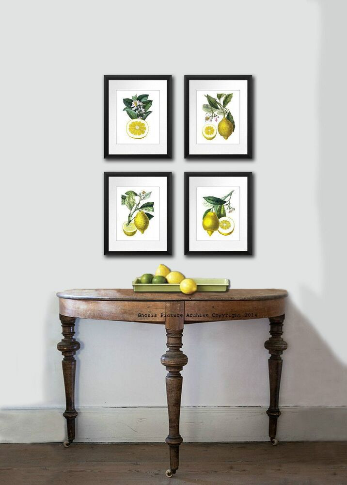 Kitchen Wall Hangings
 Kitchen Wall Decor Antique Botanical Print SET OF 4