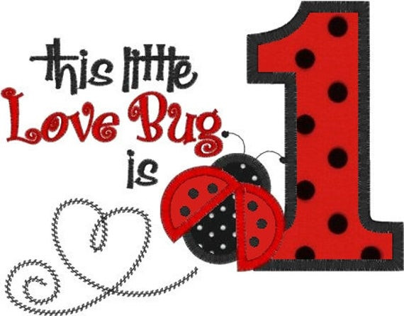 Ladybug 1st Birthday Decorations
 LADYBUG Love BUG 1st Birthday girls personalized Custom