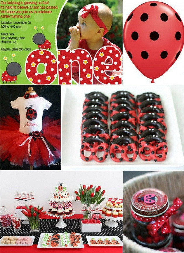 Ladybug 1st Birthday Decorations
 Ideas For A Ladybug Themed 1st Birthday Party