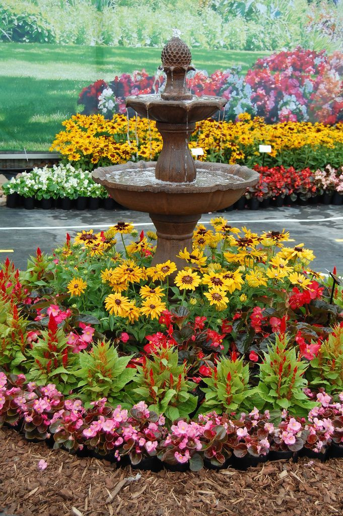 Landscape Around Fountain
 Floral Fountain Display