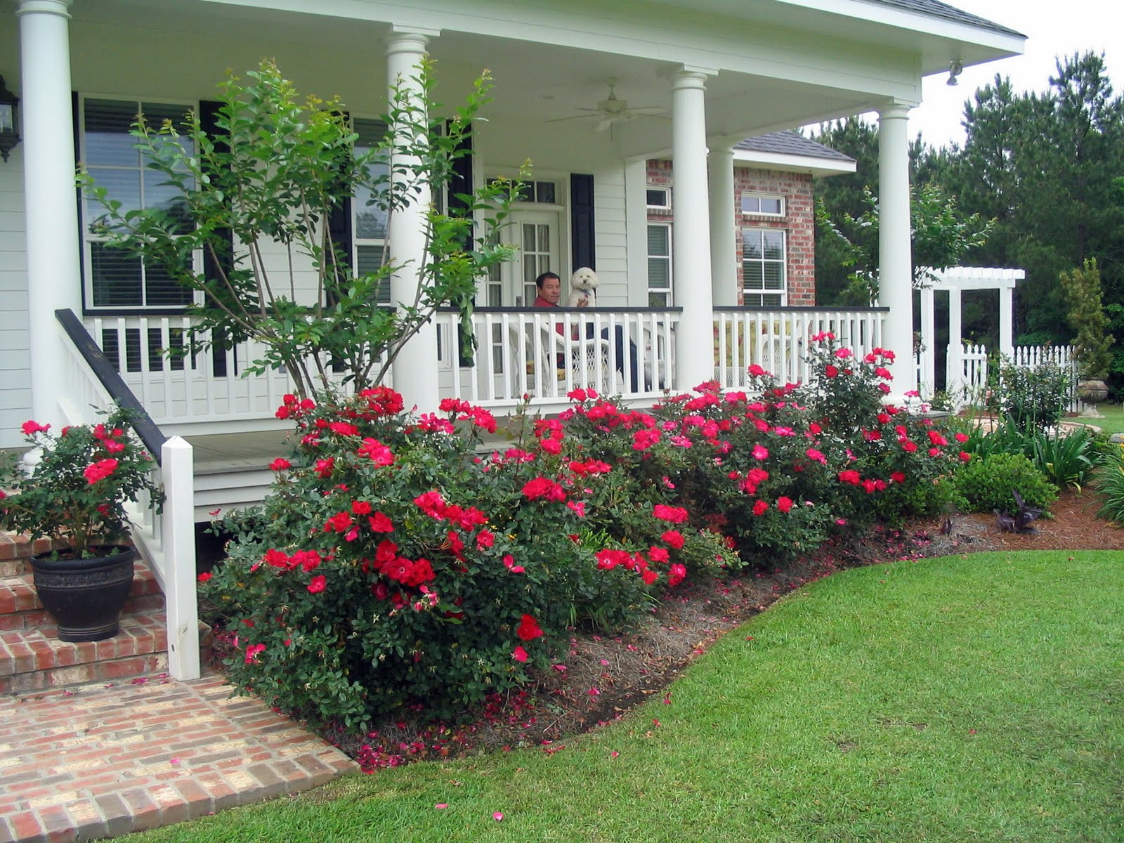 Landscape Around Front Porch
 A Southern Belle Dishes on Decor My Life on the Front Porch