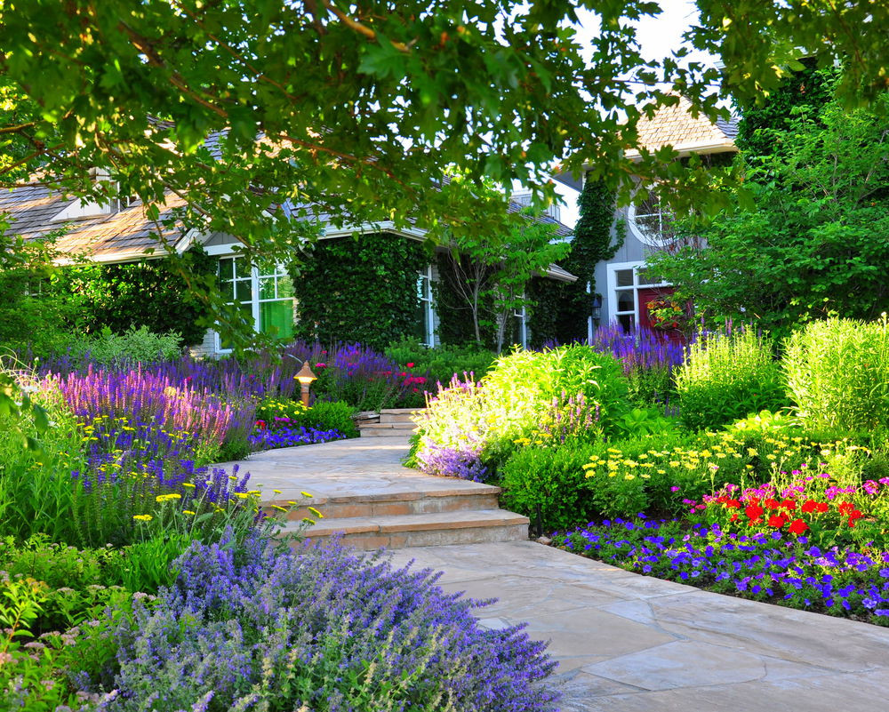 Landscape Design Denver
 Denver Garden Landscape & Design