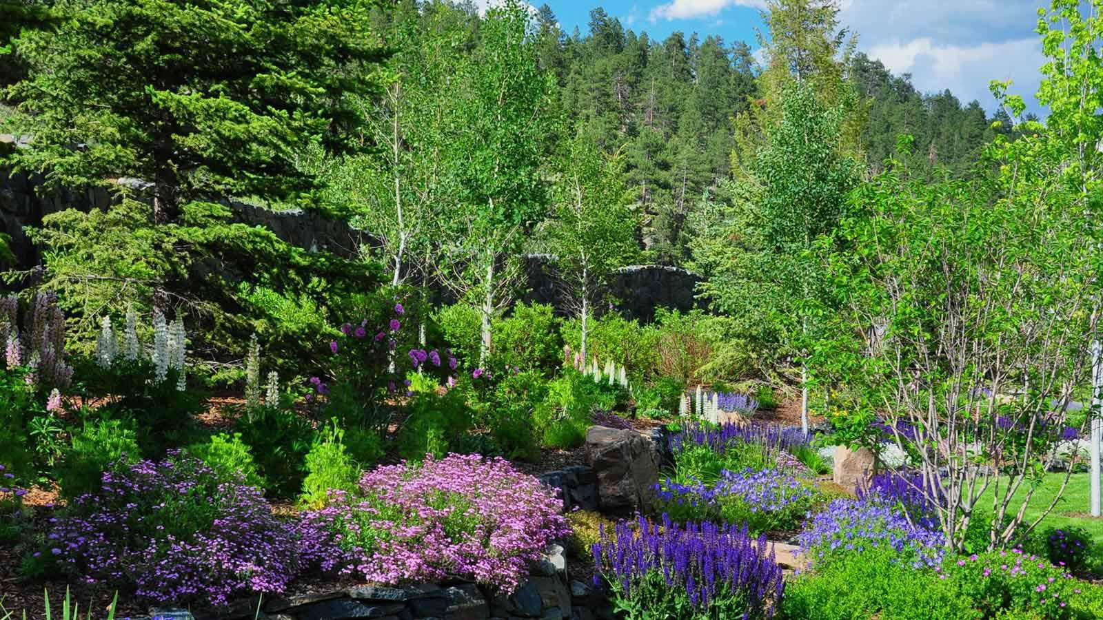 Landscape Design Denver
 Denver Landscape Design & Architecture