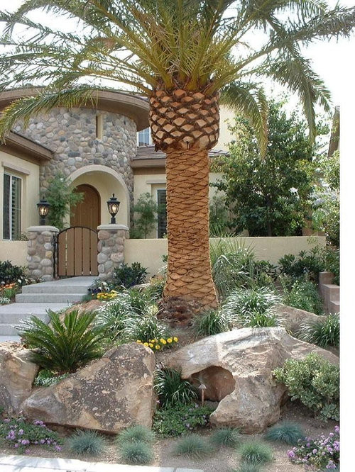 Landscape Design Las Vegas
 Tropical Las Vegas Landscape Ideas Designs Remodels & s