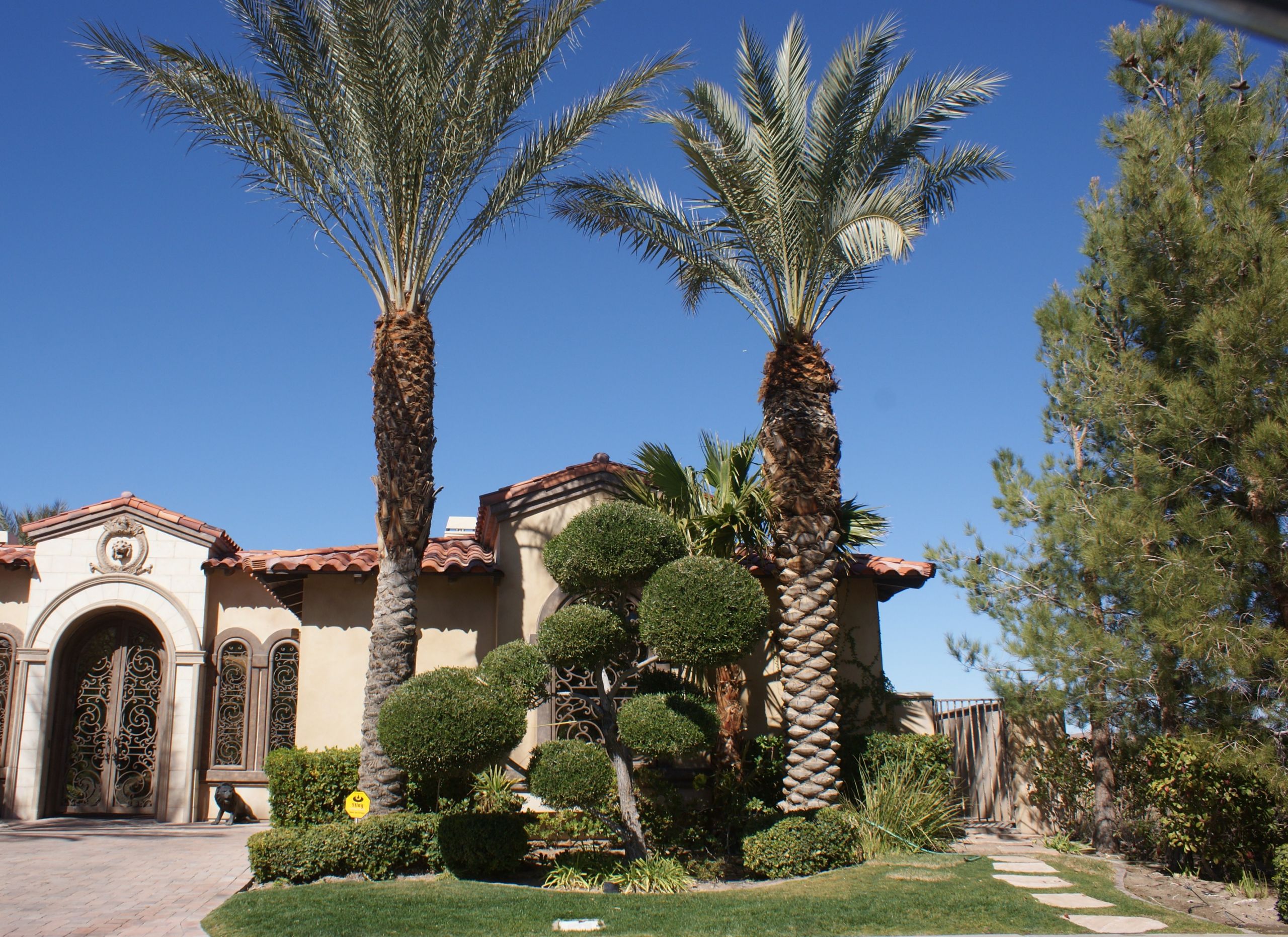 20 Cool Landscape Design Las Vegas - Home, Family, Style and Art Ideas