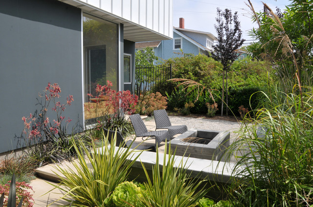 Landscape Design Los Angeles
 Venice Modern Landscape Los Angeles by SB Garden